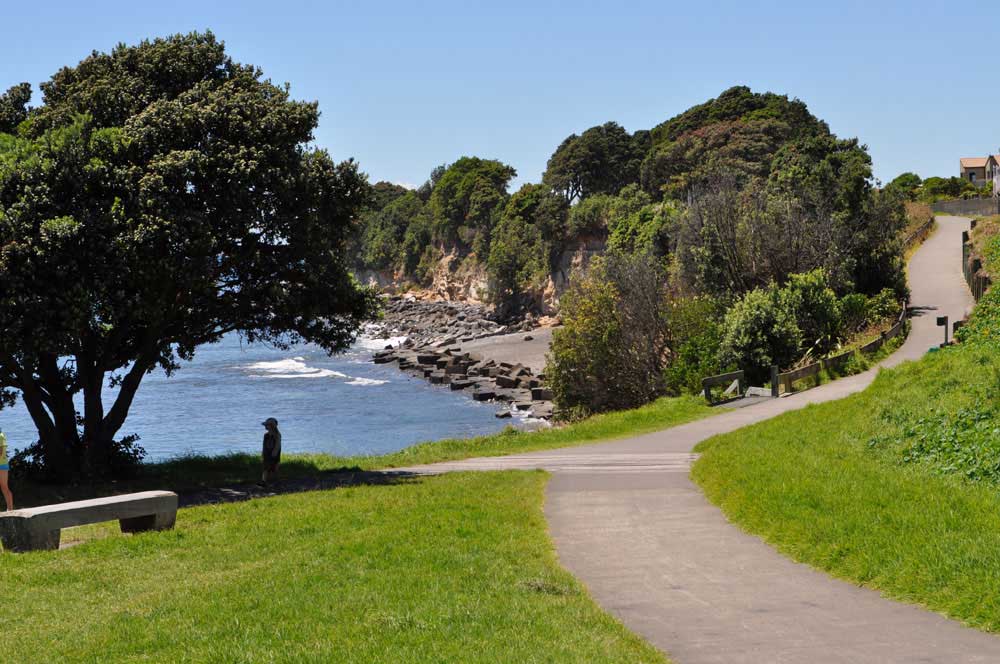 taranaki surf
              secrets